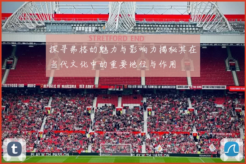 探寻弗格的魅力与影响力揭秘其在当代文化中的重要地位与作用