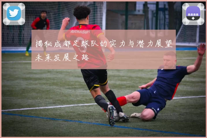 揭秘成都足球队的实力与潜力展望未来发展之路