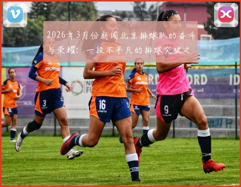 2026年3月份新闻北京排球队的奋斗与荣耀：一段不平凡的排球突破之旅